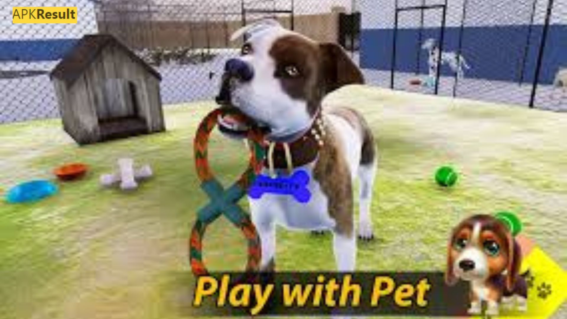 Animal Shelter Simulator Mod APK 2024