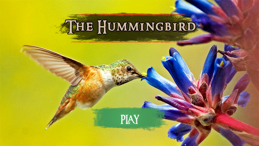 HummingBird Game APK App