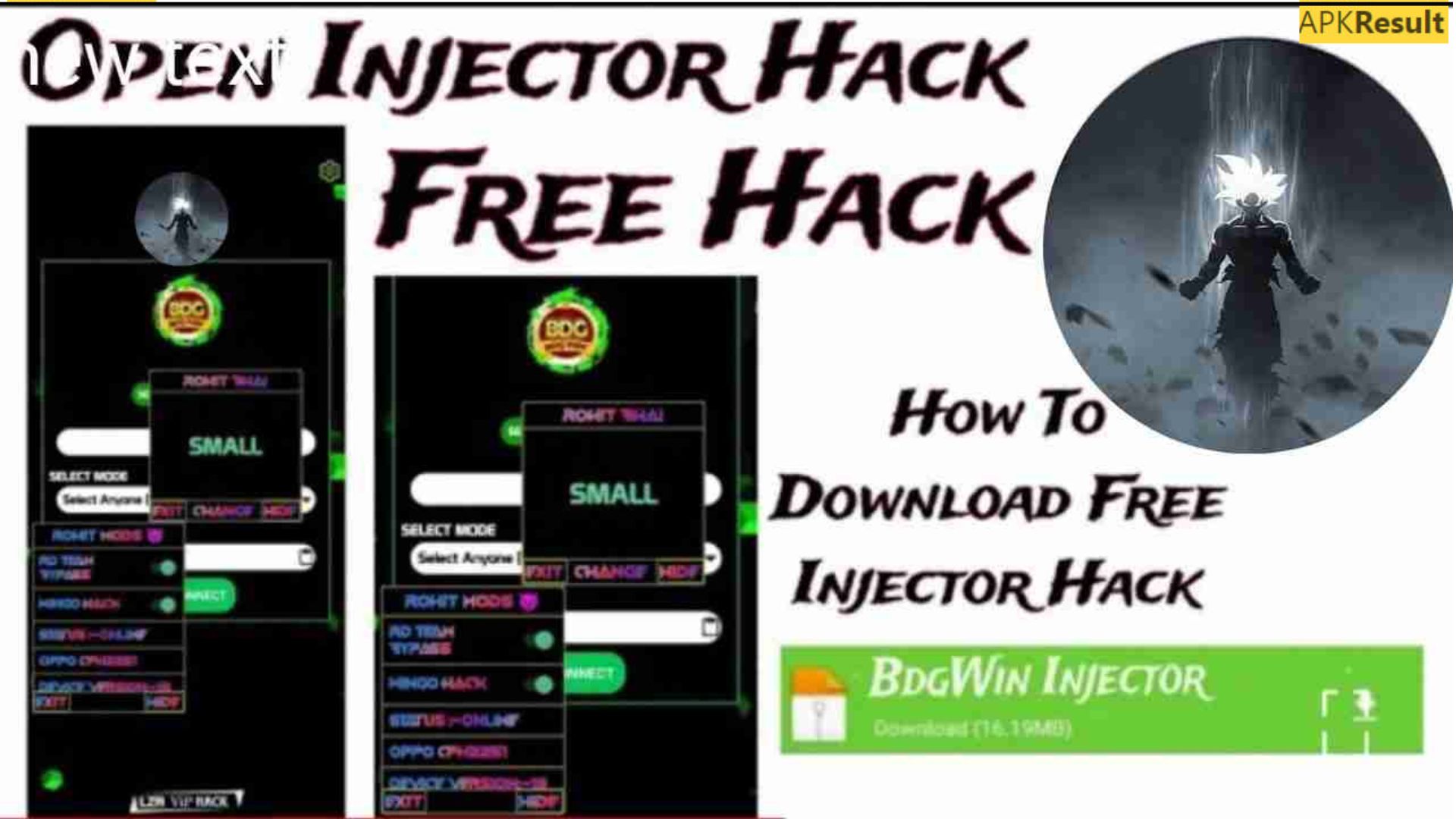 LZR Injector App