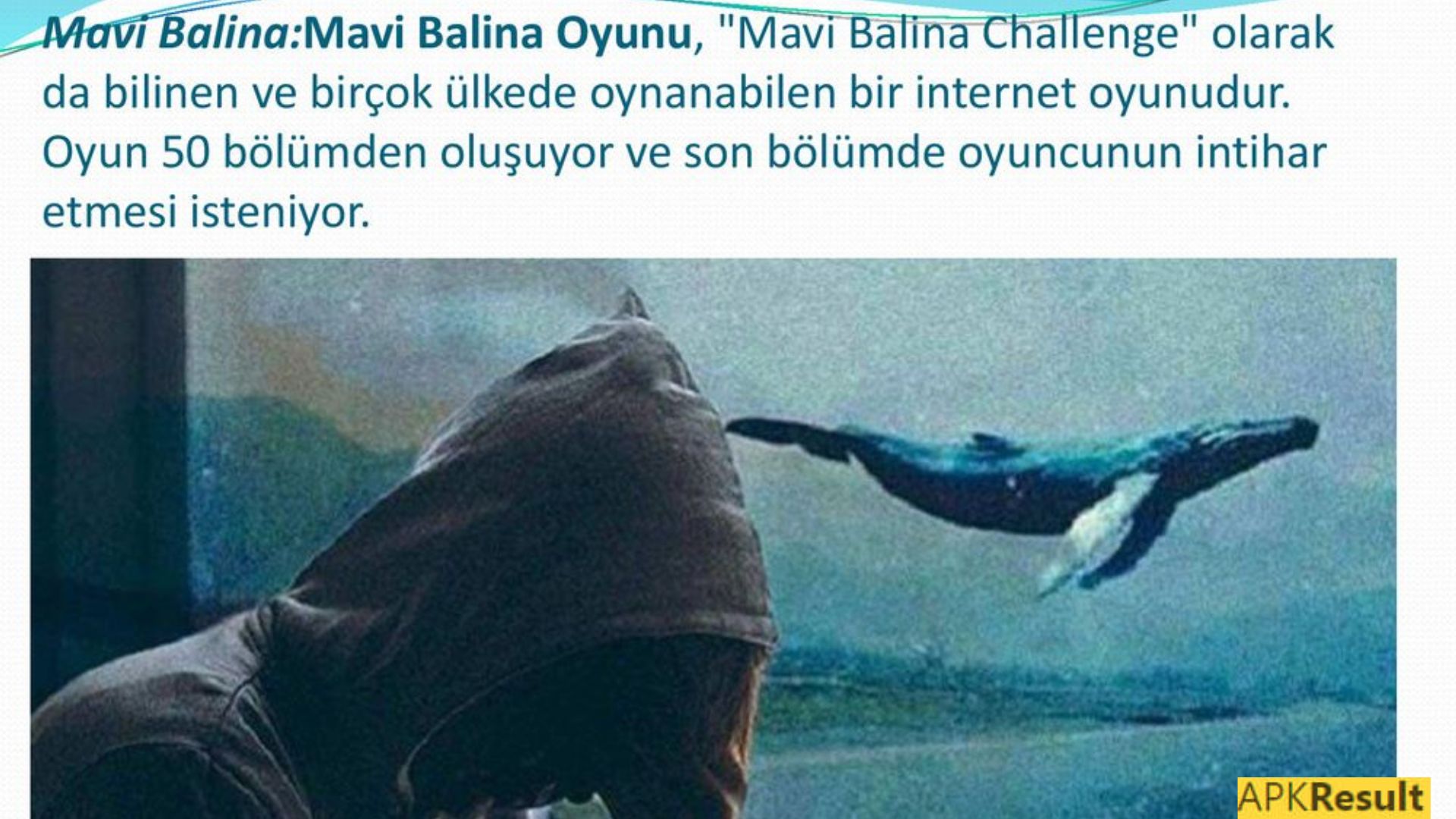 Mavi Balina App