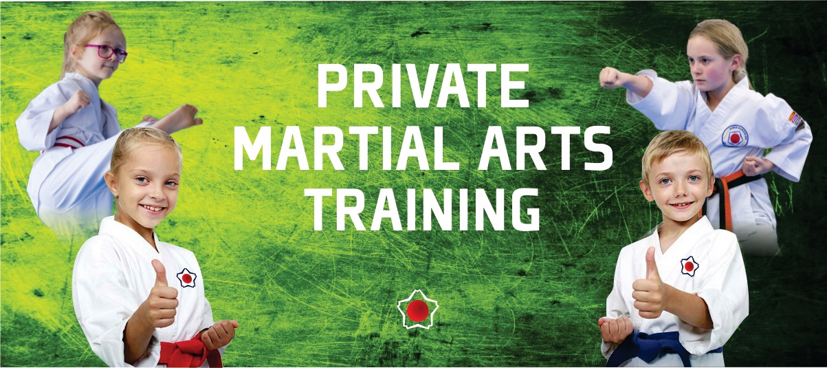 Private Karate Lessons APK Download