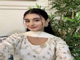 Payal Gaming APK (Viral Videos) icon